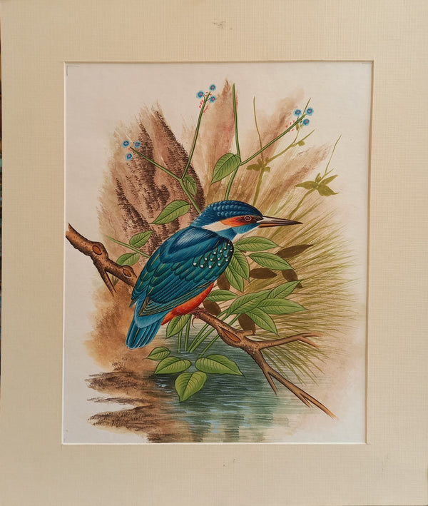 M Kingfisher Miniature