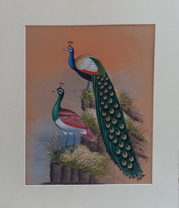 L Peacock Miniature